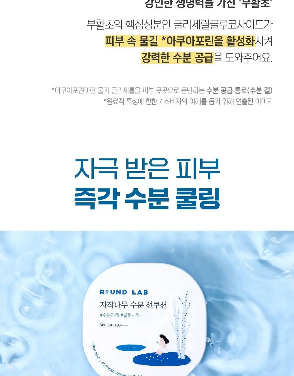 [수분쿨링] 라운드랩 자작나무 수분 선쿠션 15g 상세페이지 6